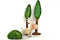 Mini_arkell_hoove_tree_0422