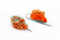 Mini_craft2eu_nymph_mint_orange_2www